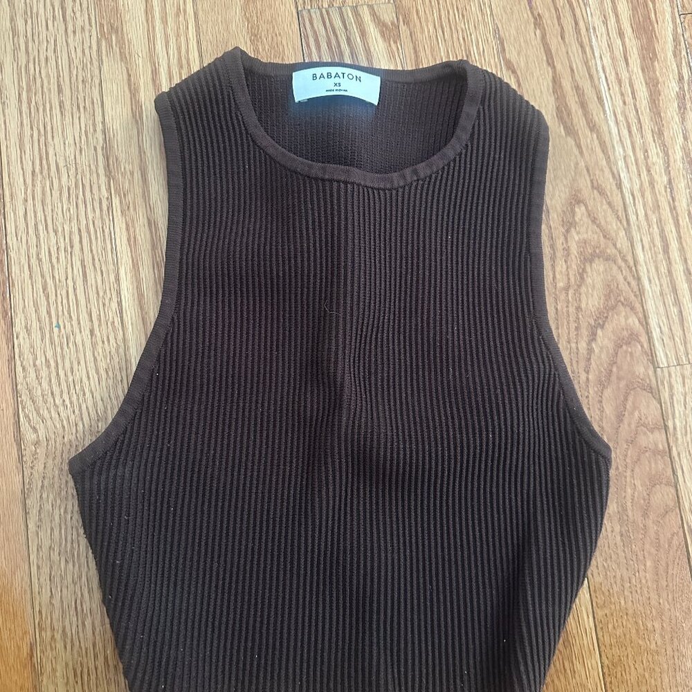 Aritzia Brown Cropped Tank Toop